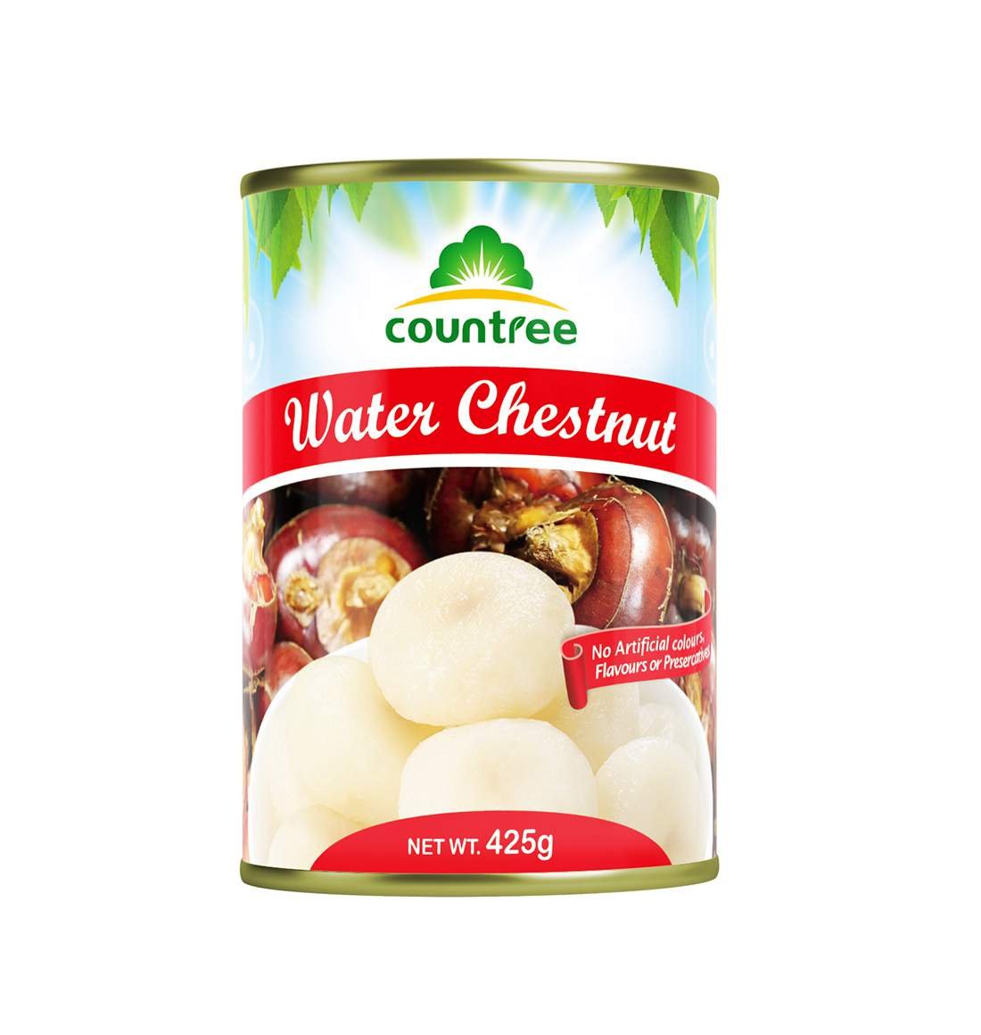 Canned Water Chestnut