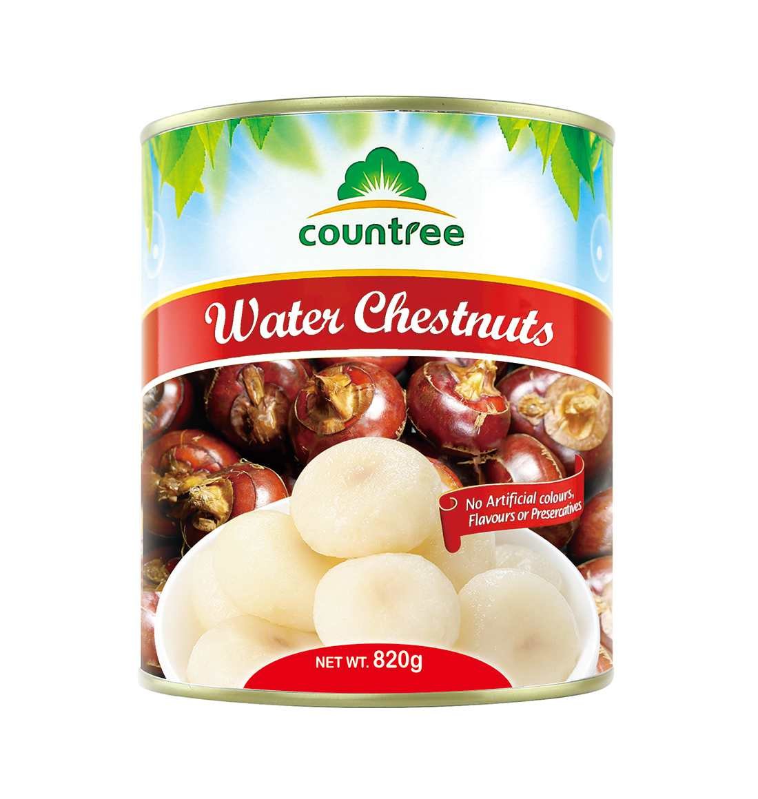 Canned Water Chestnut