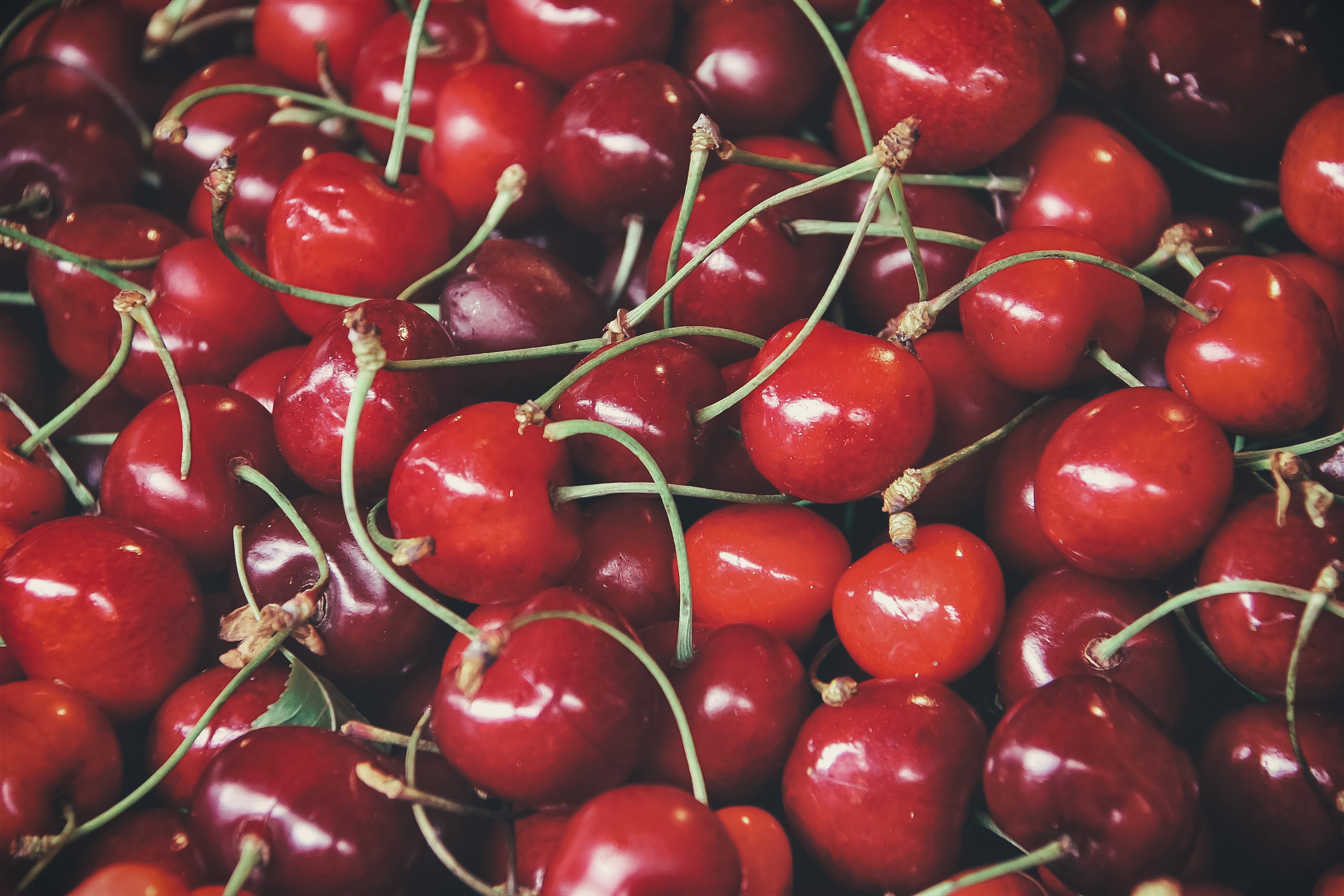 Cherry Production Decline Causes Concern in Global Market